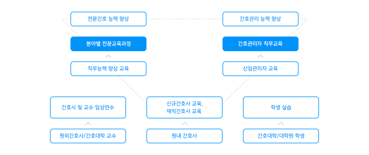 간호교육체계도 (하단설명 참조)